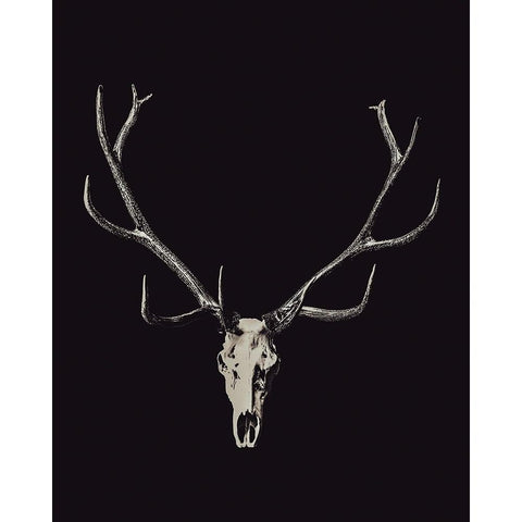 The Rustic Antler 01 Black Modern Wood Framed Art Print with Double Matting by LightBoxJournal