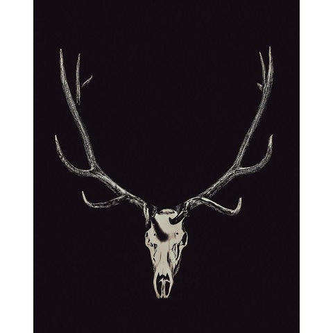 The Rustic Antler 02 Black Modern Wood Framed Art Print with Double Matting by LightBoxJournal