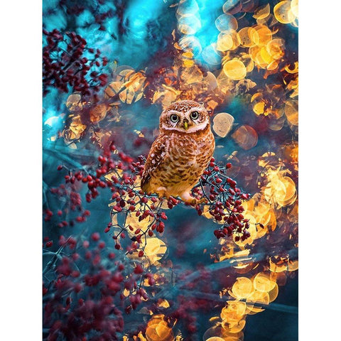 Owl Bokeh Black Modern Wood Framed Art Print with Double Matting by Love Grams