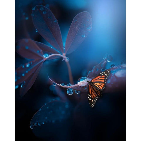 Other Worlds White Modern Wood Framed Art Print by Love Grams