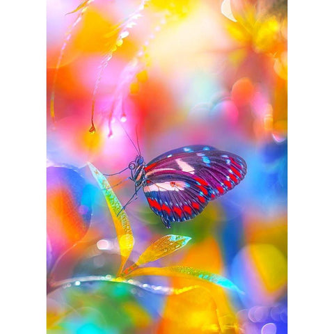 Rainbow Overlays Black Modern Wood Framed Art Print by Love Grams