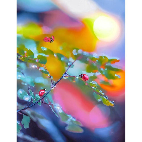 The Ladybugs White Modern Wood Framed Art Print by Love Grams