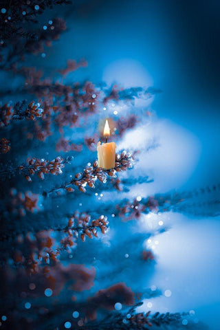 Winter Glow Black Ornate Wood Framed Art Print with Double Matting by Love Grams