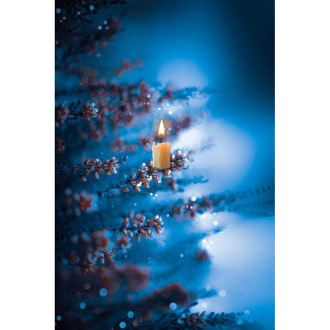 Winter Glow White Modern Wood Framed Art Print by Love Grams