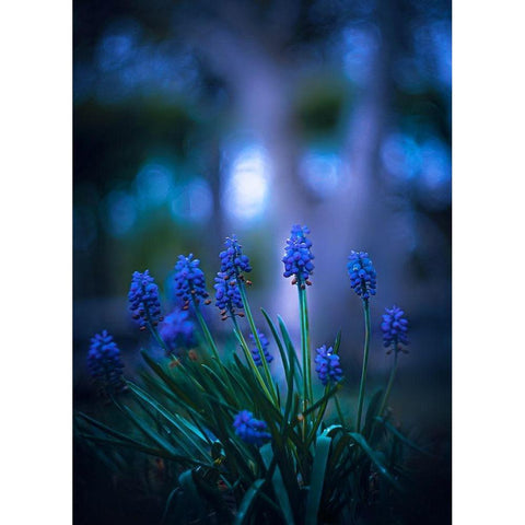 Midnight Black Modern Wood Framed Art Print with Double Matting by Love Grams