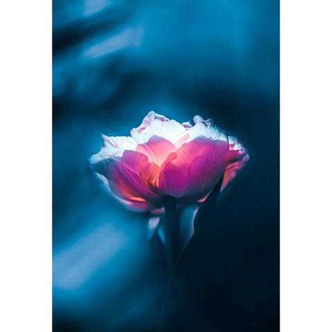 Neon Fantasy Black Modern Wood Framed Art Print with Double Matting by Love Grams