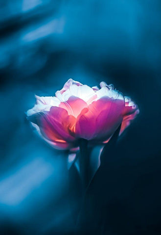 Neon Fantasy White Modern Wood Framed Art Print with Double Matting by Love Grams