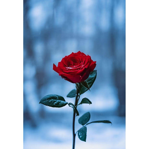 Winter Rose Gold Ornate Wood Framed Art Print with Double Matting by Love Grams