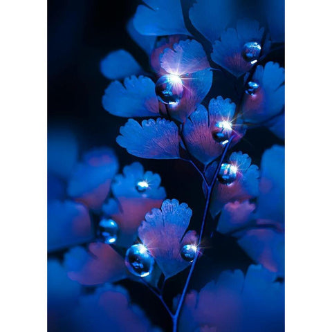 IMG_7587 Gold Ornate Wood Framed Art Print with Double Matting by Love Grams