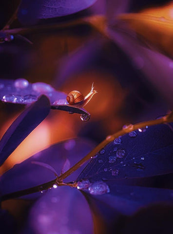 IMG_7588 White Modern Wood Framed Art Print with Double Matting by Love Grams