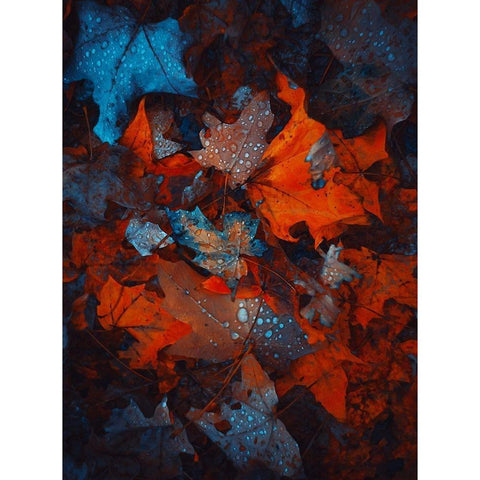 IMG_7592 Black Modern Wood Framed Art Print by Love Grams