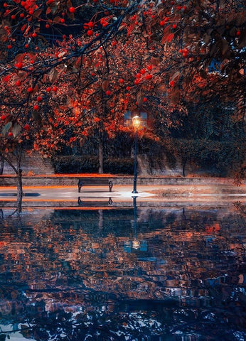 Along the Canal Black Ornate Wood Framed Art Print with Double Matting by Love Grams