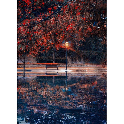 Along the Canal Black Modern Wood Framed Art Print by Love Grams