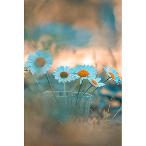 Blue Daisies Gold Ornate Wood Framed Art Print with Double Matting by Love Grams