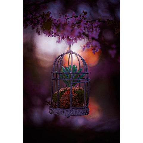 Caged at Dusk Black Modern Wood Framed Art Print by Love Grams