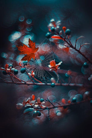 Chaos at Night White Modern Wood Framed Art Print with Double Matting by Love Grams