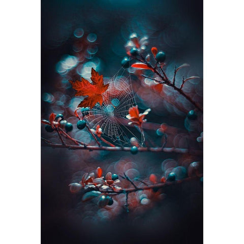 Chaos at Night Black Modern Wood Framed Art Print with Double Matting by Love Grams