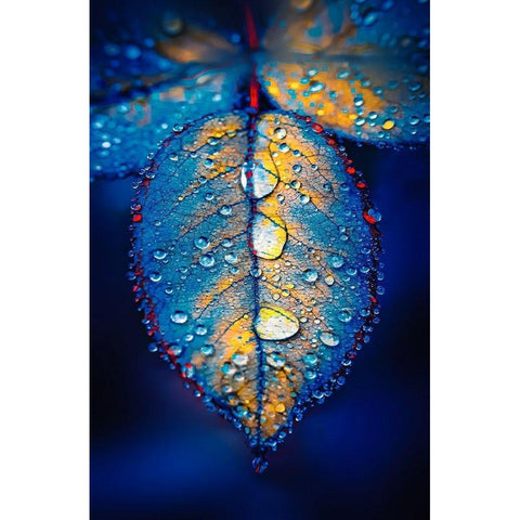 Drops of Jupiter Black Modern Wood Framed Art Print with Double Matting by Love Grams