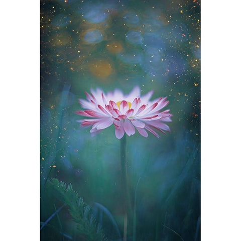 Dusk and Fireflies Gold Ornate Wood Framed Art Print with Double Matting by Love Grams