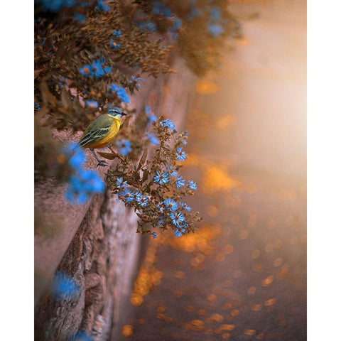 Falling for You Black Modern Wood Framed Art Print with Double Matting by Love Grams