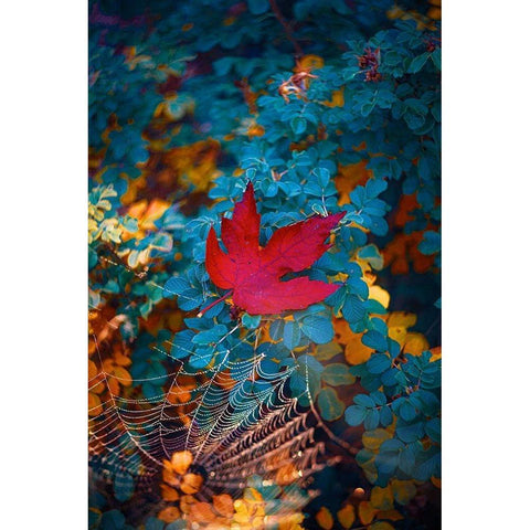 Falling Black Modern Wood Framed Art Print by Love Grams