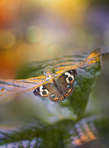 Green Haze White Modern Wood Framed Art Print with Double Matting by Love Grams