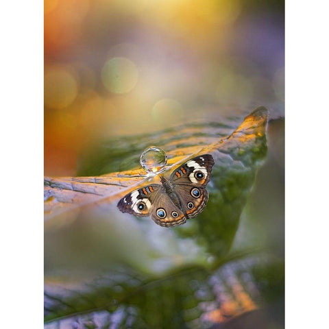 Green Haze Black Modern Wood Framed Art Print by Love Grams