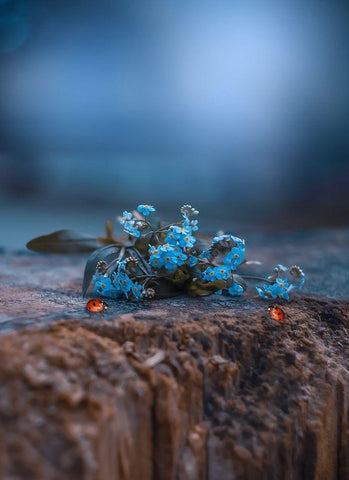 Meet in the Middle White Modern Wood Framed Art Print with Double Matting by Love Grams