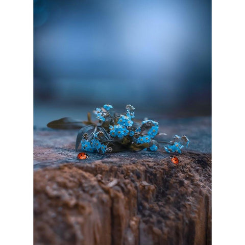 Meet in the Middle Gold Ornate Wood Framed Art Print with Double Matting by Love Grams