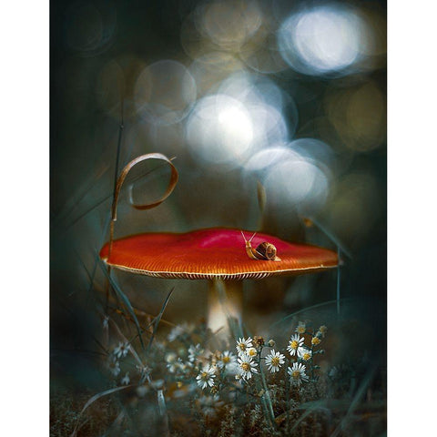 Mushroom Fantasy White Modern Wood Framed Art Print by Love Grams
