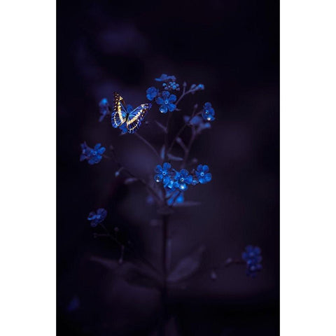 Nightmare Wonders Black Modern Wood Framed Art Print with Double Matting by Love Grams
