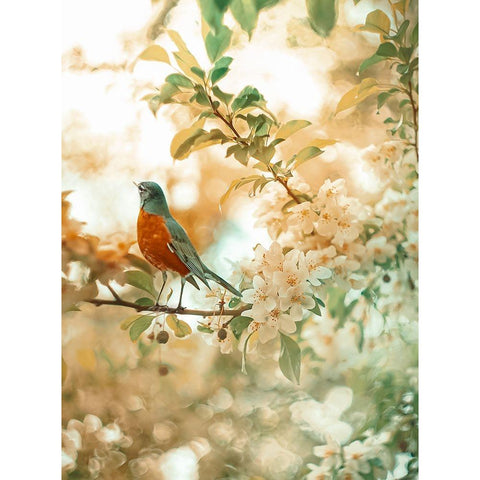 Spring Harmony Black Modern Wood Framed Art Print with Double Matting by Love Grams