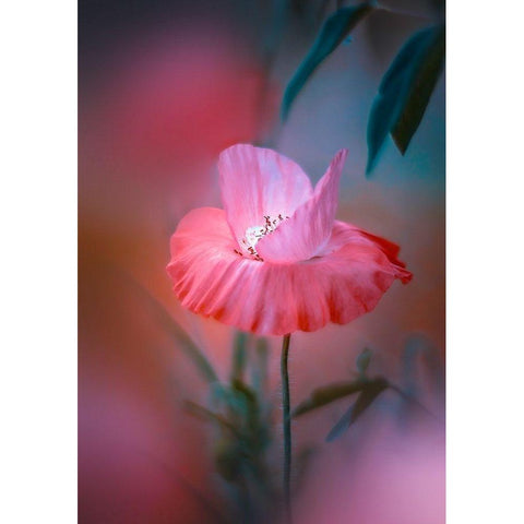 Summer Warmth Gold Ornate Wood Framed Art Print with Double Matting by Love Grams