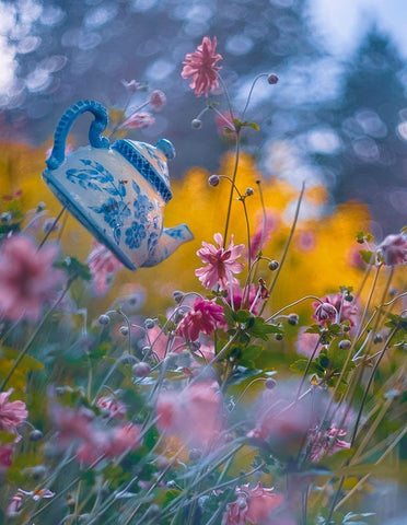 The Constant Gardener Black Ornate Wood Framed Art Print with Double Matting by Love Grams