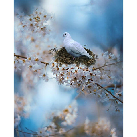 The Dove White Modern Wood Framed Art Print by Love Grams