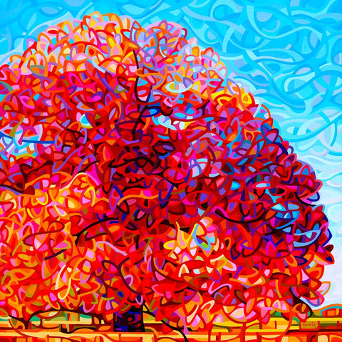 Buddha Tree White Modern Wood Framed Art Print with Double Matting by Budan, Mandy