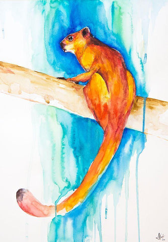 Giant Red Flying Squirrel (Habitat) White Modern Wood Framed Art Print with Double Matting by Allante, Marc