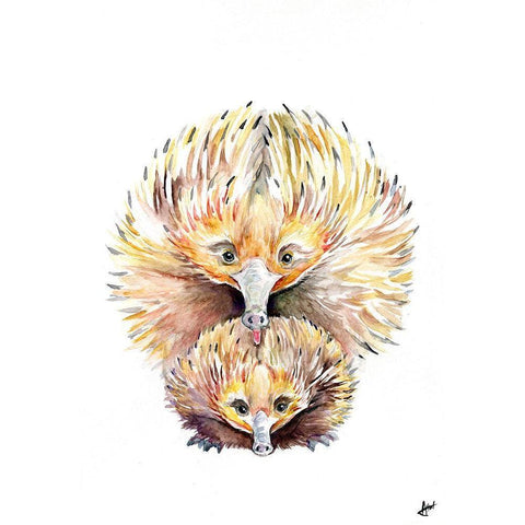 Enigmatic Echidnas Gold Ornate Wood Framed Art Print with Double Matting by Allante, Marc