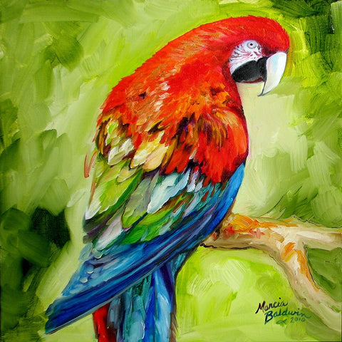 Macaw Tropical White Modern Wood Framed Art Print with Double Matting by Baldwin, Marcia