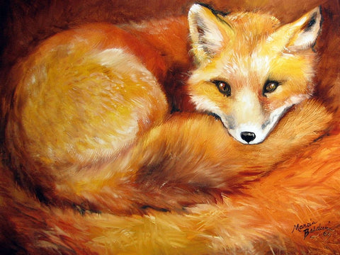 Red Fox Den White Modern Wood Framed Art Print with Double Matting by Baldwin, Marcia