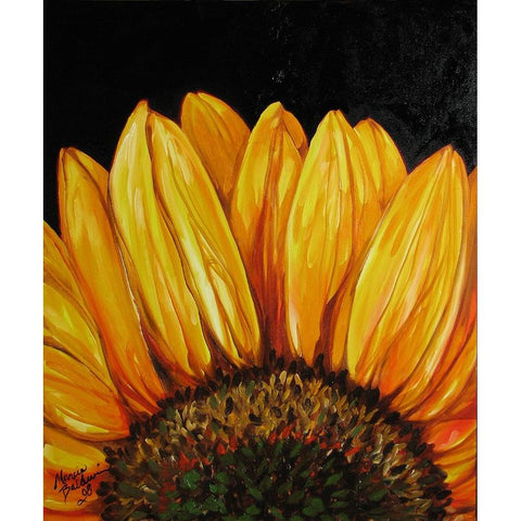 Sunflower Sunflower Black Modern Wood Framed Art Print with Double Matting by Baldwin, Marcia