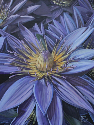 Purple Flower White Modern Wood Framed Art Print with Double Matting by Harvill, Marc