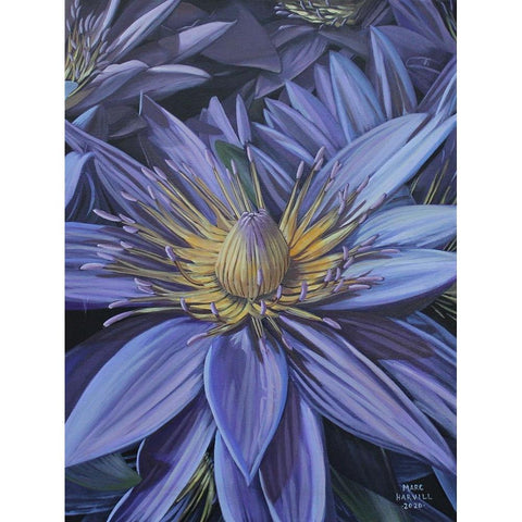 Purple Flower White Modern Wood Framed Art Print by Harvill, Marc