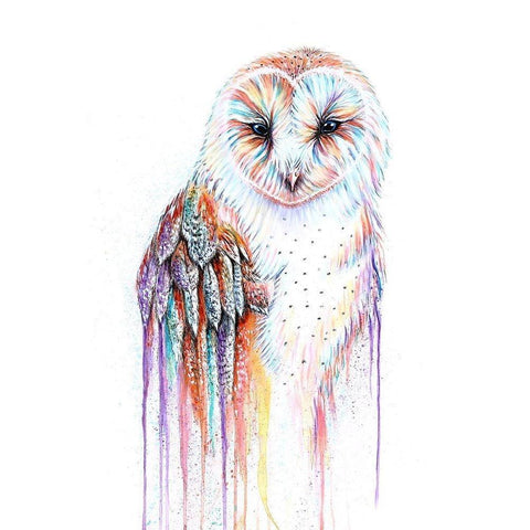 Barred Rainbow Owl Gold Ornate Wood Framed Art Print with Double Matting by Wickstrom, Martin