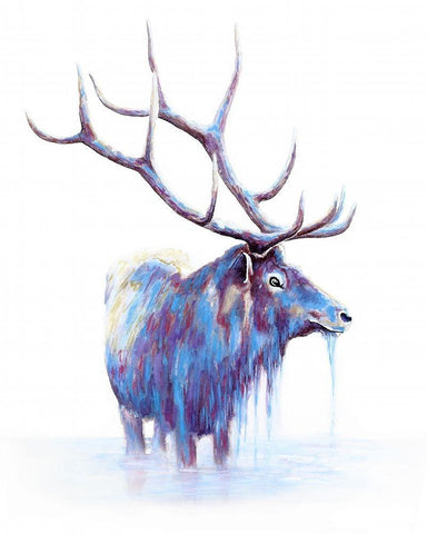 Elk in Water Black Ornate Wood Framed Art Print with Double Matting by Wickstrom, Martin