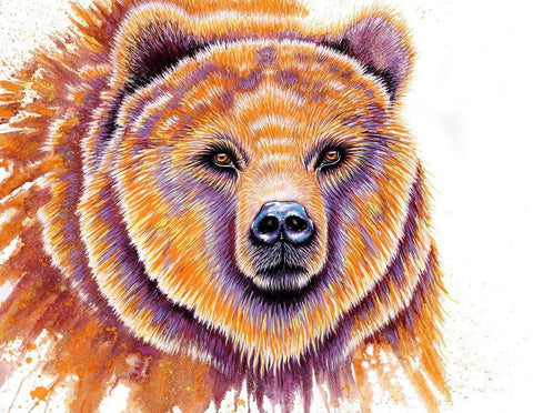 Grizzly Bear White Modern Wood Framed Art Print with Double Matting by Wickstrom, Martin