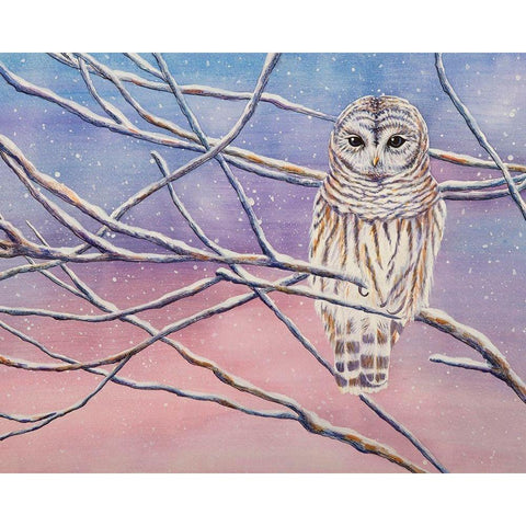 Snowy Barred Owl Gold Ornate Wood Framed Art Print with Double Matting by Wickstrom, Martin