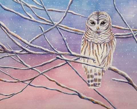 Snowy Barred Owl White Modern Wood Framed Art Print with Double Matting by Wickstrom, Martin