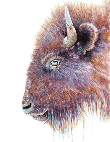 Spirit of the West Buffalo White Modern Wood Framed Art Print with Double Matting by Wickstrom, Martin