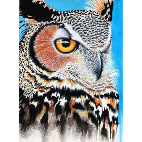 Great Horned Owl Eye Black Modern Wood Framed Art Print with Double Matting by Wickstrom, Martin